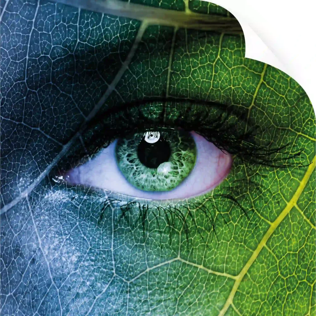 An environmentally smarter choice, we also stock non-PVC print films. Image shows a close up of a beautiful face painted with eco-green leafy vein patterns and a close-up on one green eye. The top right hand corner of the graphic is curling down to signify a self-adhesive vinyl being applied.