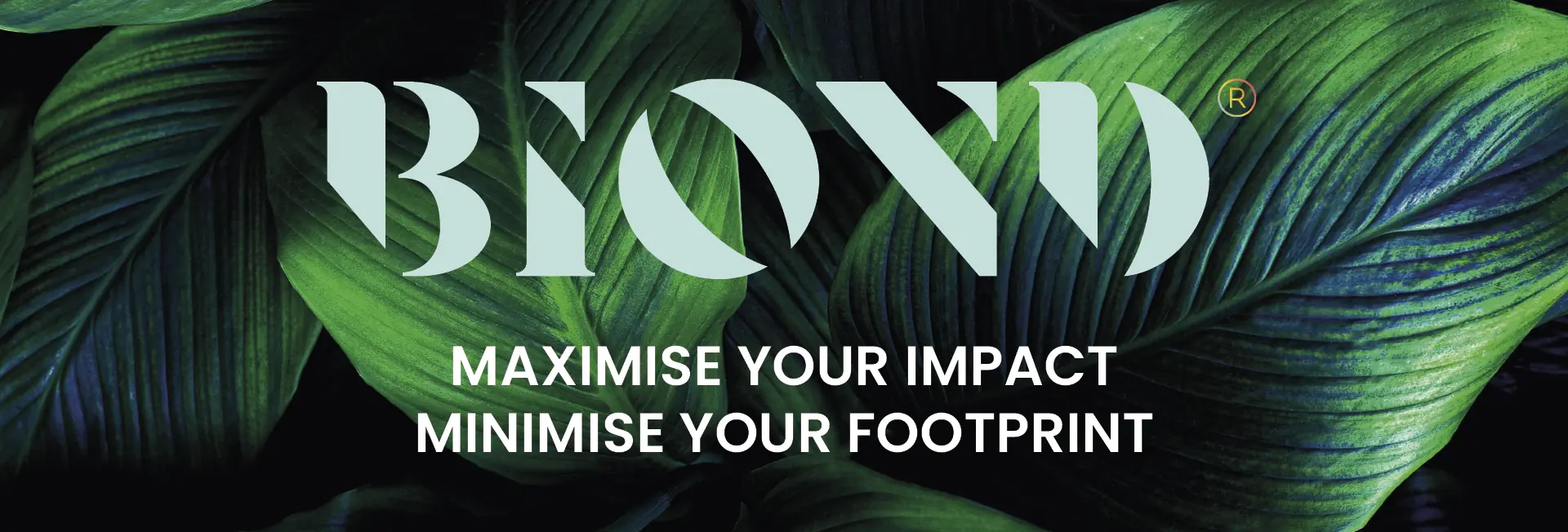 BIOND logo over a green leafy background photo, a range of bio-based graphics print media for a sustainable, eco-friendly solution for wide format printers. Text under logo reads 'Maximise your impact, minimise your footprint'.