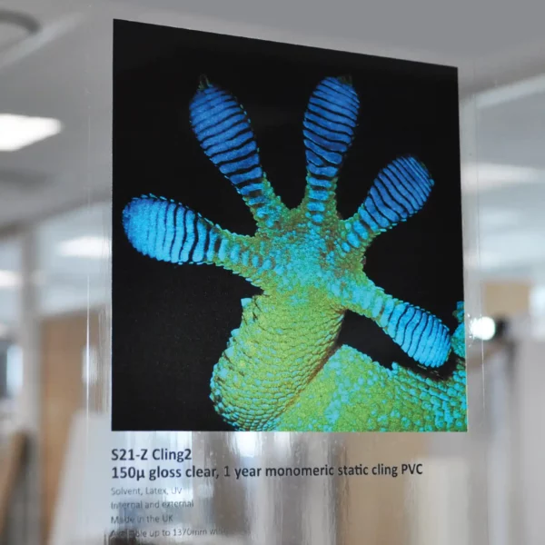 S21-Z Cling2 demo sample poster graphic applied to an internal glass partition wall with back light enhancing the colourful effect of the printed gecko paw print image.
