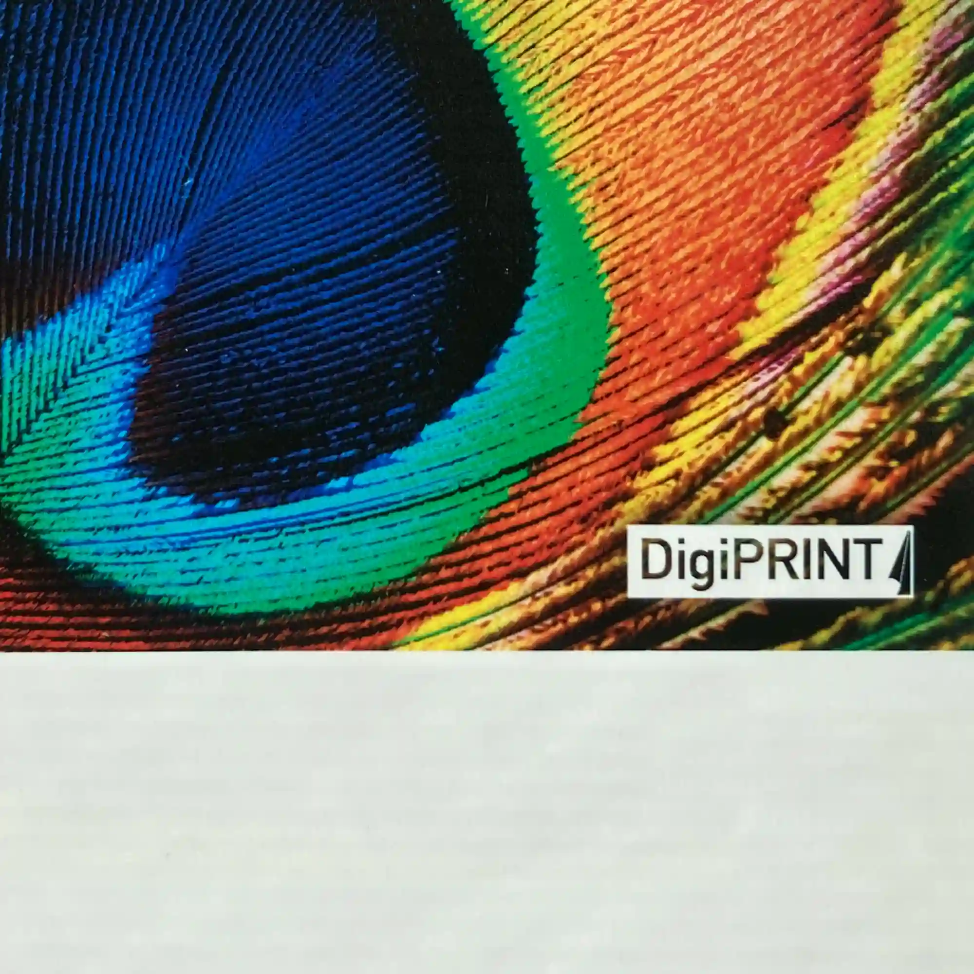 Close-up view of DigiPRINT EF440 banner media, with a sample showcasing the smooth bright matt white scrim finish, with close-up printed and unprinted detail of the smooth scrim pattern.