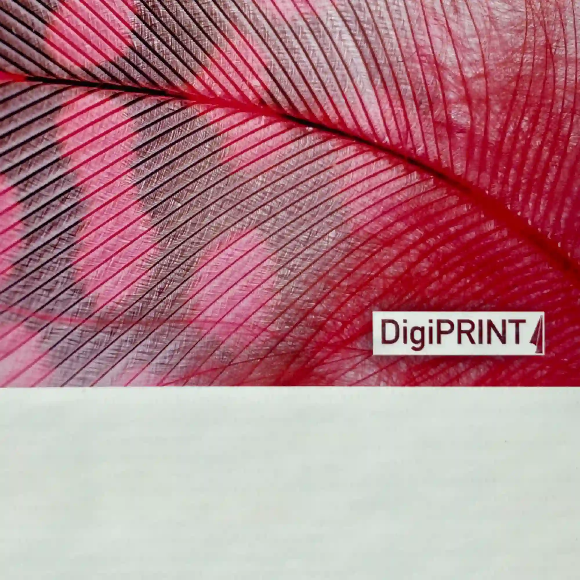 Close-up view of DigiPRINT EF500 smooth matt scrim banner media, with a sample showcasing the neutral white shade and printed and unprinted detail of the smooth scrim pattern.