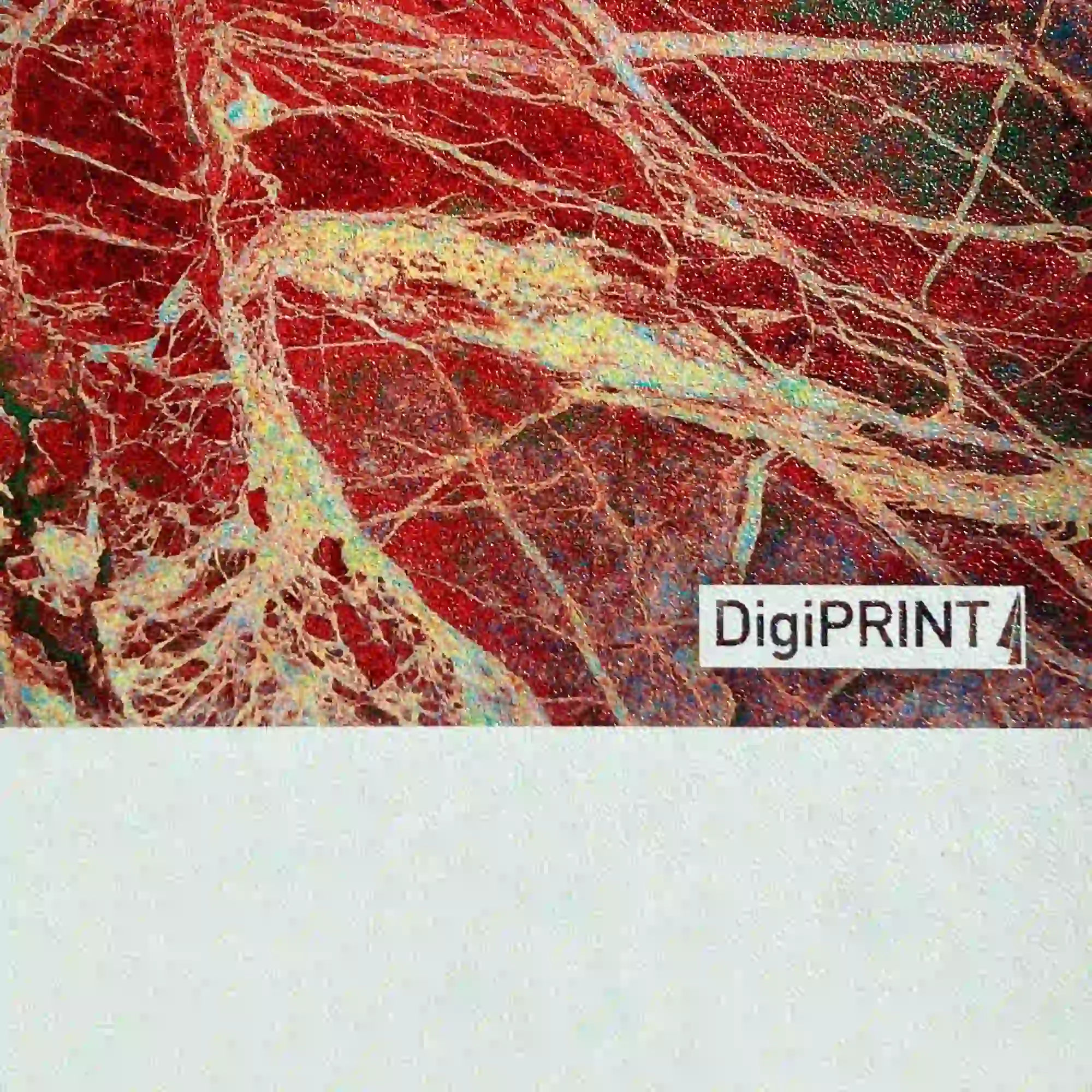 Close-up of DigiPRINT WallVision TSWT14 printable pasteable wallpaper, showcasing its textured surface - ideal for custom interior wall print designs in residential and commercial interior spaces.