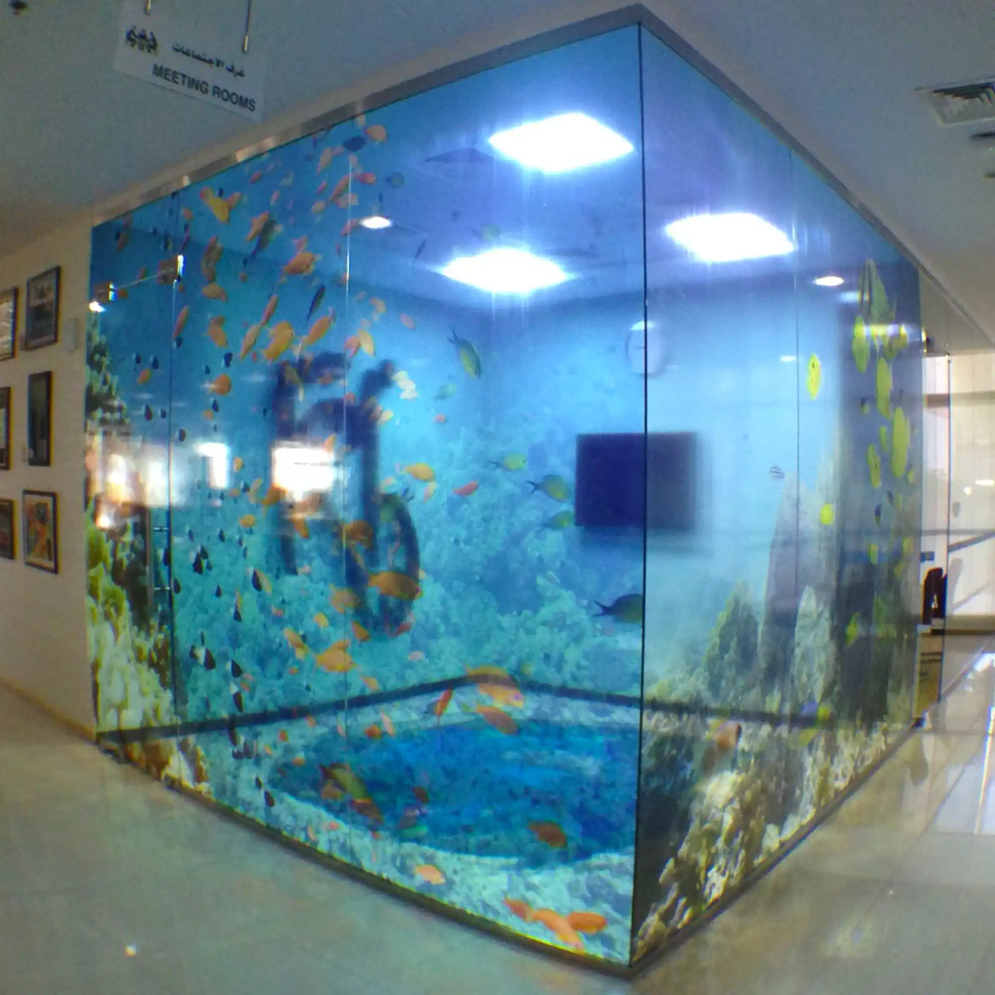 Mactac JT 8700 CG-RT is a self-adhesive, clear gloss vinyl film designed for illuminated signs and glass décor, put to good use as it is applied to an imternal meeting roomw ith large windows and has a printed esign to make the space look like an aquarium where the room is filled with water and goldfish, so that is appears like a massive fish tank.