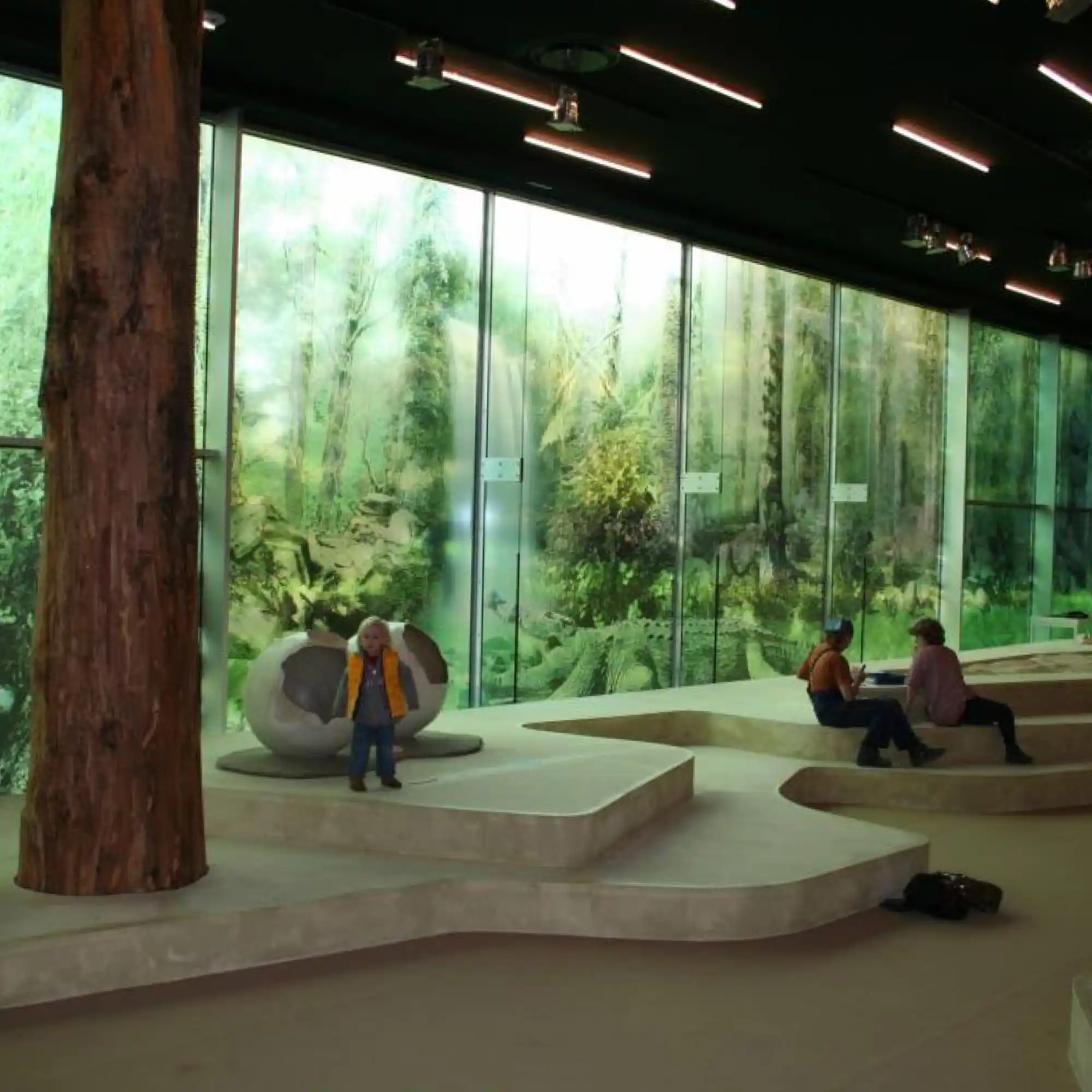 Mactac JT 8700 CG-RT loss clear window film brings the tranquility of the outdoors inside with this interior decorative graphic print of a stunning forest landscape, with vivid, photo-quality prints that maintain high clarity and light transmission.