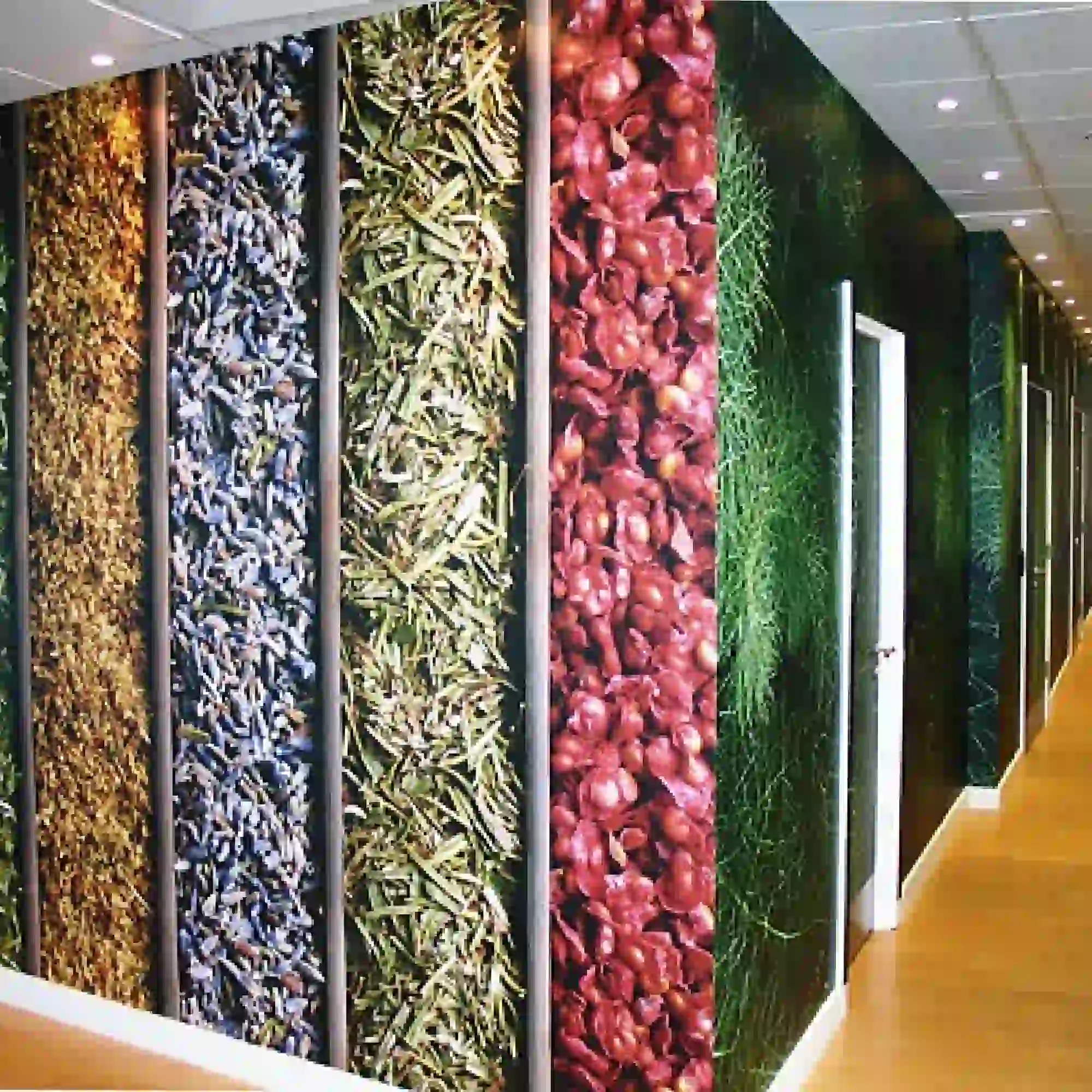 Mactac JT 8700 WG-PG self-adhesive opaque printing vinyl applied to cover the walls and doors of a long corridor, with the printed graphic designed to look like a selection box of different herbs in bright and colourful reds, purple, blue and green hues.