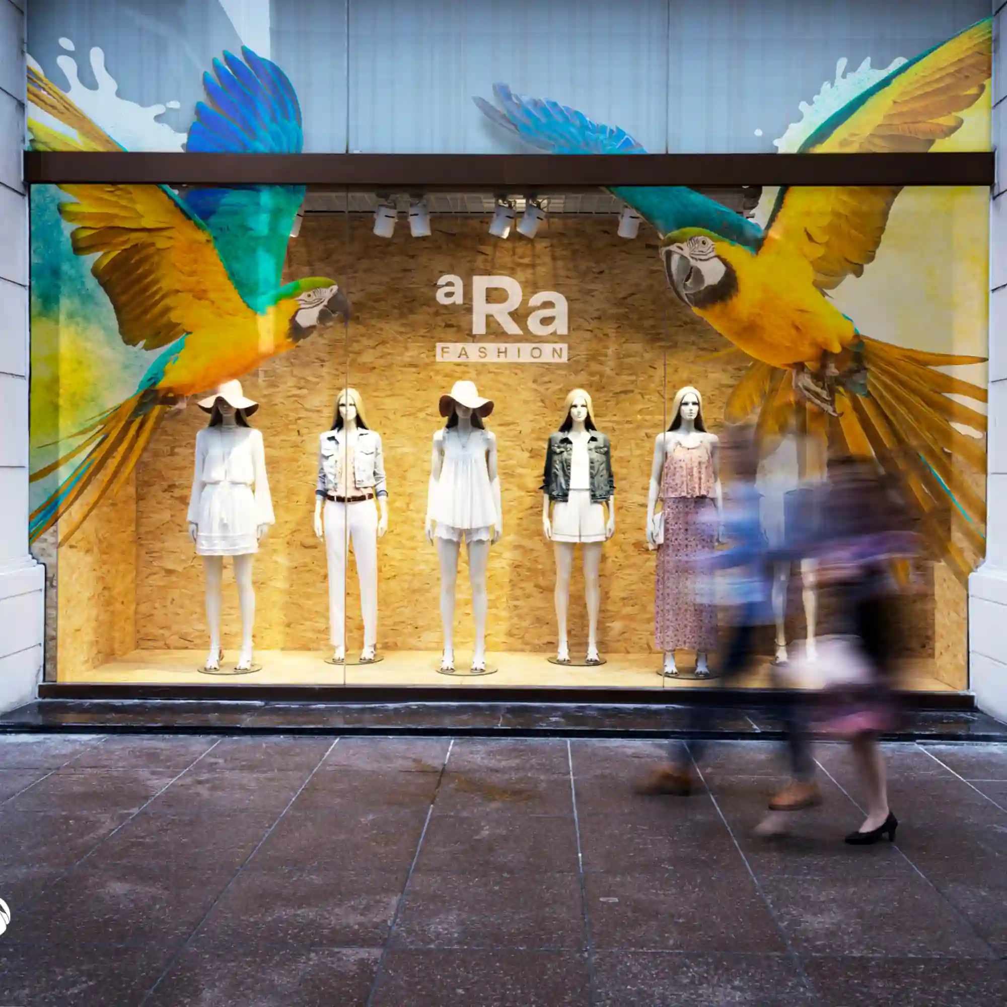 Mactac JT9700WT BFT Dusted etch glass print vinyl with a bubble-free easy to apply self-adhesive is designed for window applications and is perfect for decorative graphics and retail display graphics on glass. This printed image features a vibrant parrot graphic with a frosted, etched glass appearance that enhances this store front with it's striking, eye-catching visual that compliments the mannequins dressed to promote the latest fashion offerings in-store.