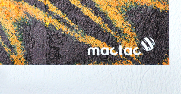 WW Veneziano satin white self-adhesive textured wall wrap vinyl is shown in close up detailing the printed and unprinted areas of a sample of the material with the heavily embossed stucco pattern of this print media. The printed part of the sample shows the product brand group image of a deep yellow orange and black butterfly wing with the Mactac brand logo in the bottom right corner. At the very bottom of the image you can see the pattern of the unprinted satin white base material.