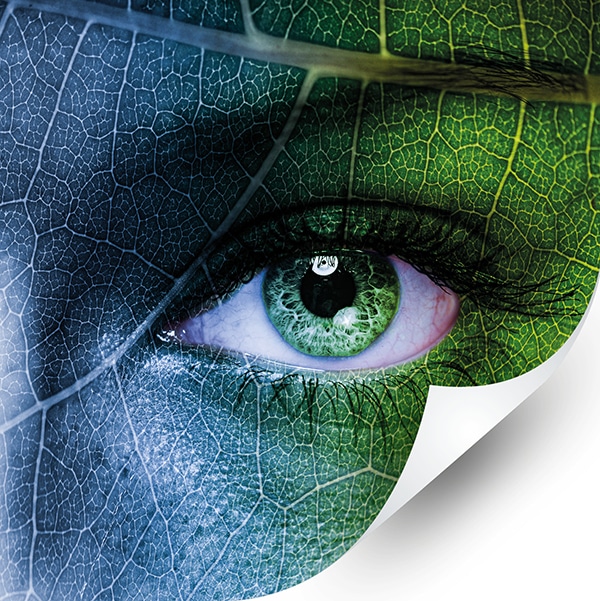The O13-H non-PVC high-tack self-adhesive print films' product brand group image; a close up of a beautiful face painted with eco-green leafy vein patterns and a close-up on one green eye. The bottom right hand corner of the graphic is curling upwards to signify a self-adhesive vinyl graphic being applied.