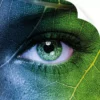 NU-COAT's 'O' Series non-PVC self-adhesive print films brand imagery of an eco-leaf eye design. One corner of the image graphically depicts the film is slightly folded to reveal its backing, release liner.