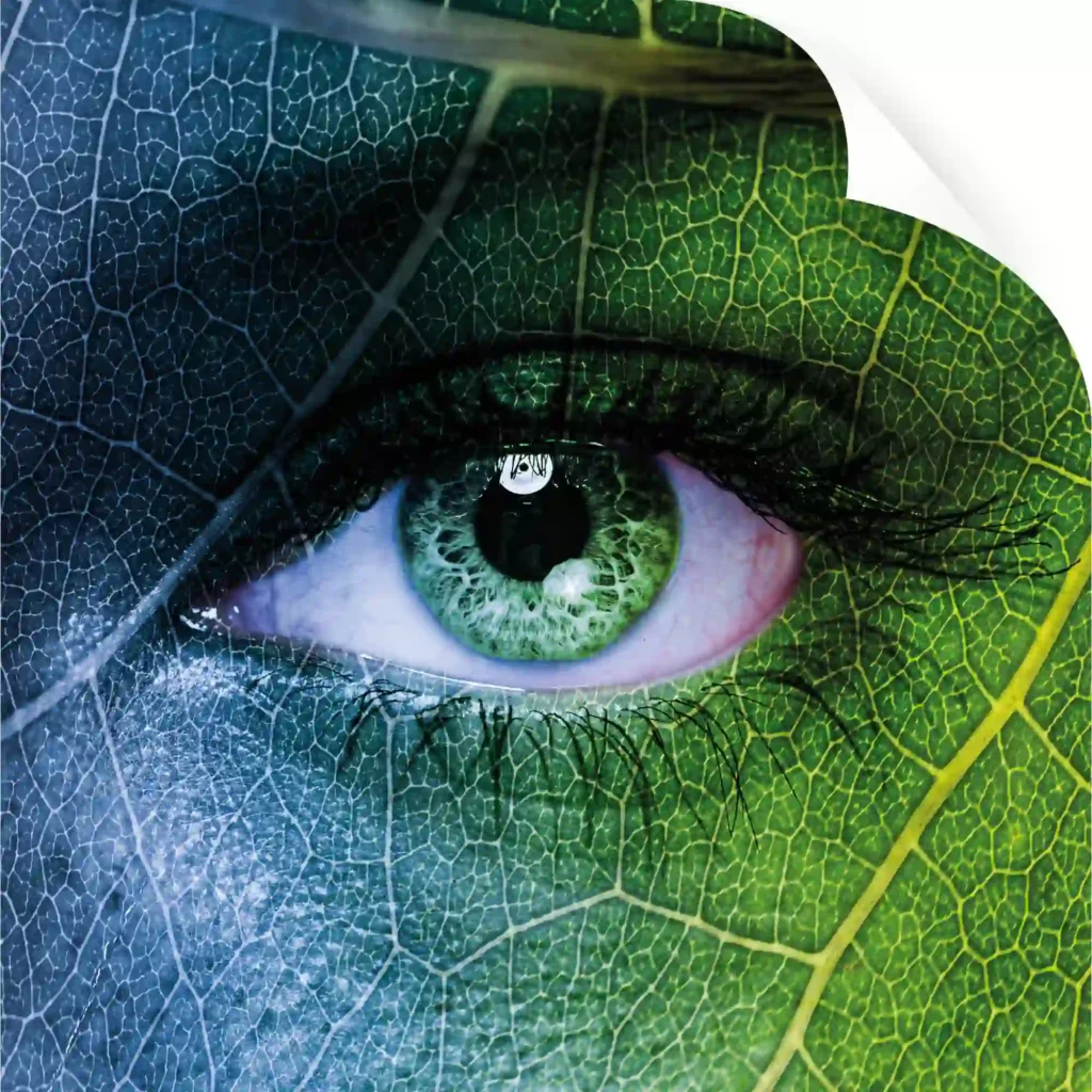 NU-COAT's 'O' Series non-PVC self-adhesive print films brand imagery of an eco-leaf eye design. One corner of the image graphically depicts the film is slightly folded to reveal its backing, release liner.