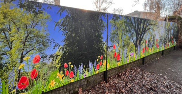 P25-P polymeric matt transparent digital laminate and printable film for wide-format graphics, used to overlaminate this external school boundary display graphic hoarding.