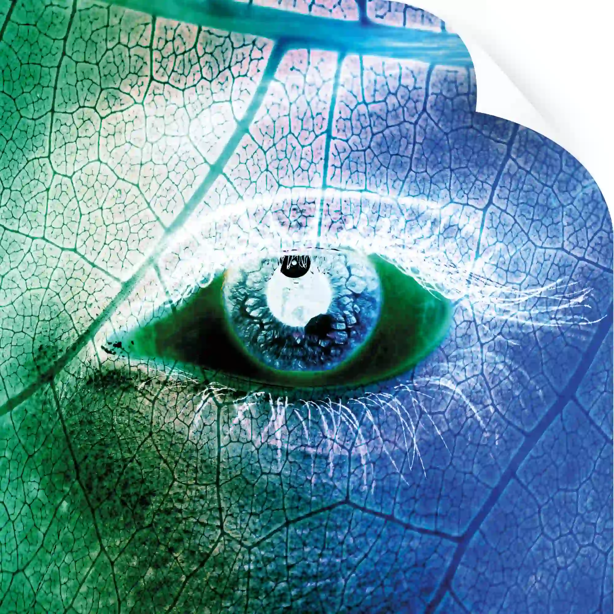The eco-eye brand graphics for NU-COAT's Nu-Finish range; a negative exposure image of a close-up female eye with leafy vein textures over the surrounding skin to illustrate the non-pvc eco-graphic properties of this printers lamination film.