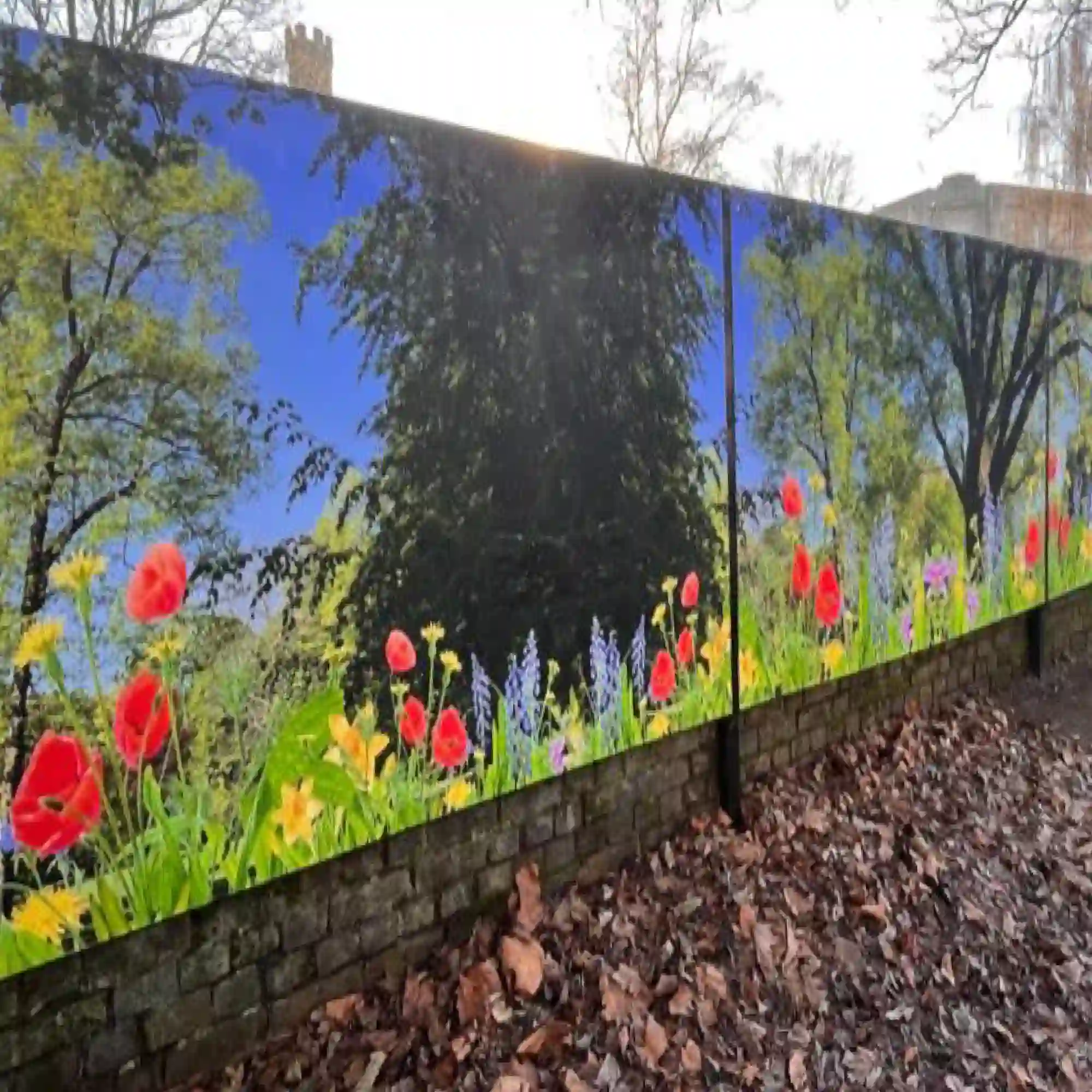 NU-COAT P12-P-P coverall print vinyl for self-adhesive digital graphics is mounted onto display boards fixed to an exterior wall, for both educational and decorative display purposes within a school grounds. The printed image is a photograph of a peaceful field of red poppies and yellow daffodils with dark green trees in the background.