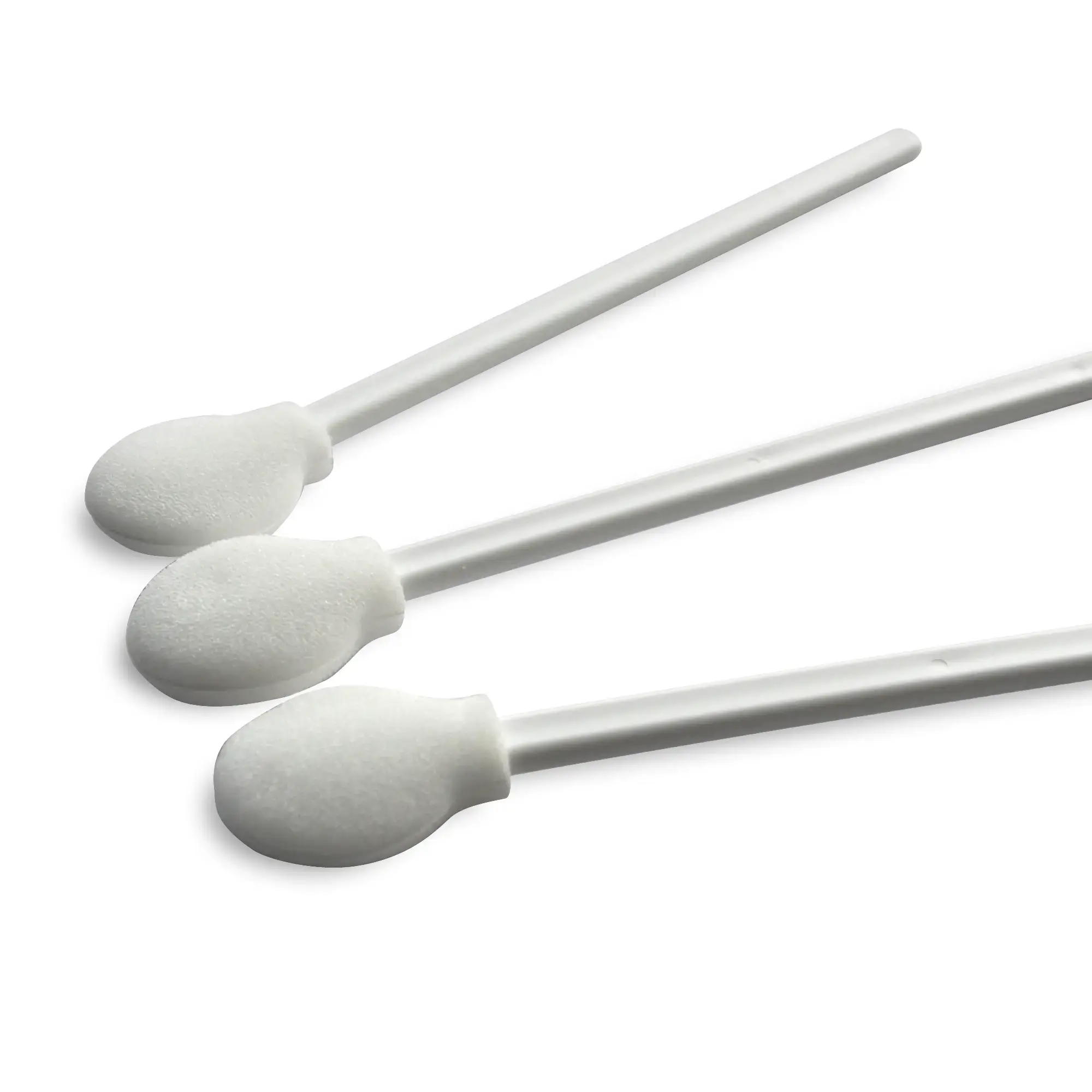 3 round headed foam tip cleaning swabs with white plastic handles and a large round white foam head are arranged in a semi-circle with the large heads pointing to the right of the photo.