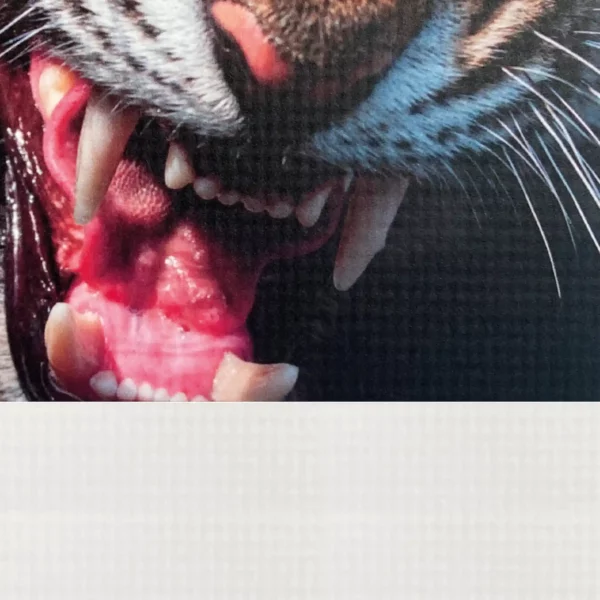 Close-up view of DigiPRINT RS440 RipStop scrim banner printing material with the sample image showcasing the printed and unprinted detail of the laminated scrim vinyl pattern characteristic of the material.