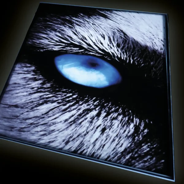 Captivating backlit display featuring a blue wolf eye, printed on SBL2 film and showcased in a lightbox for stunning visual impact in signage applications.