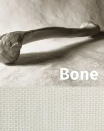 SQUID self-adhesive window textile in 'Bone' base colour, image shows the inspiration behind the finish (a dry, 'off-white' bone) and the colour of the textured textile is shown below.