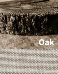 SQUID self-adhesive window textile in 'Oak' base colour, image shows the inspiration behind the finish (a slice through from the trunk of an oak tree in dark textured wood) and the colour of the textured textile is shown below.