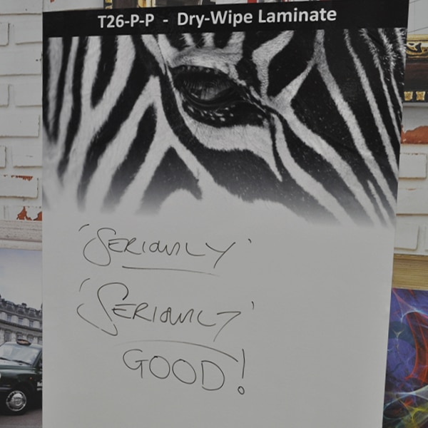 A clean white dry-wipe film has been laminated over a printed image of a close-up of a zebras black and white face. "T26-P-P Dry-Wipe Laminate" text is printed in white in a black box as the graphics title above the Zebra image and the graphic is applied on top of a decorated interior wall. Written on with dry-wipe pen on the unprinted part of the whiteboard is "Seriously, Seriously Good!".